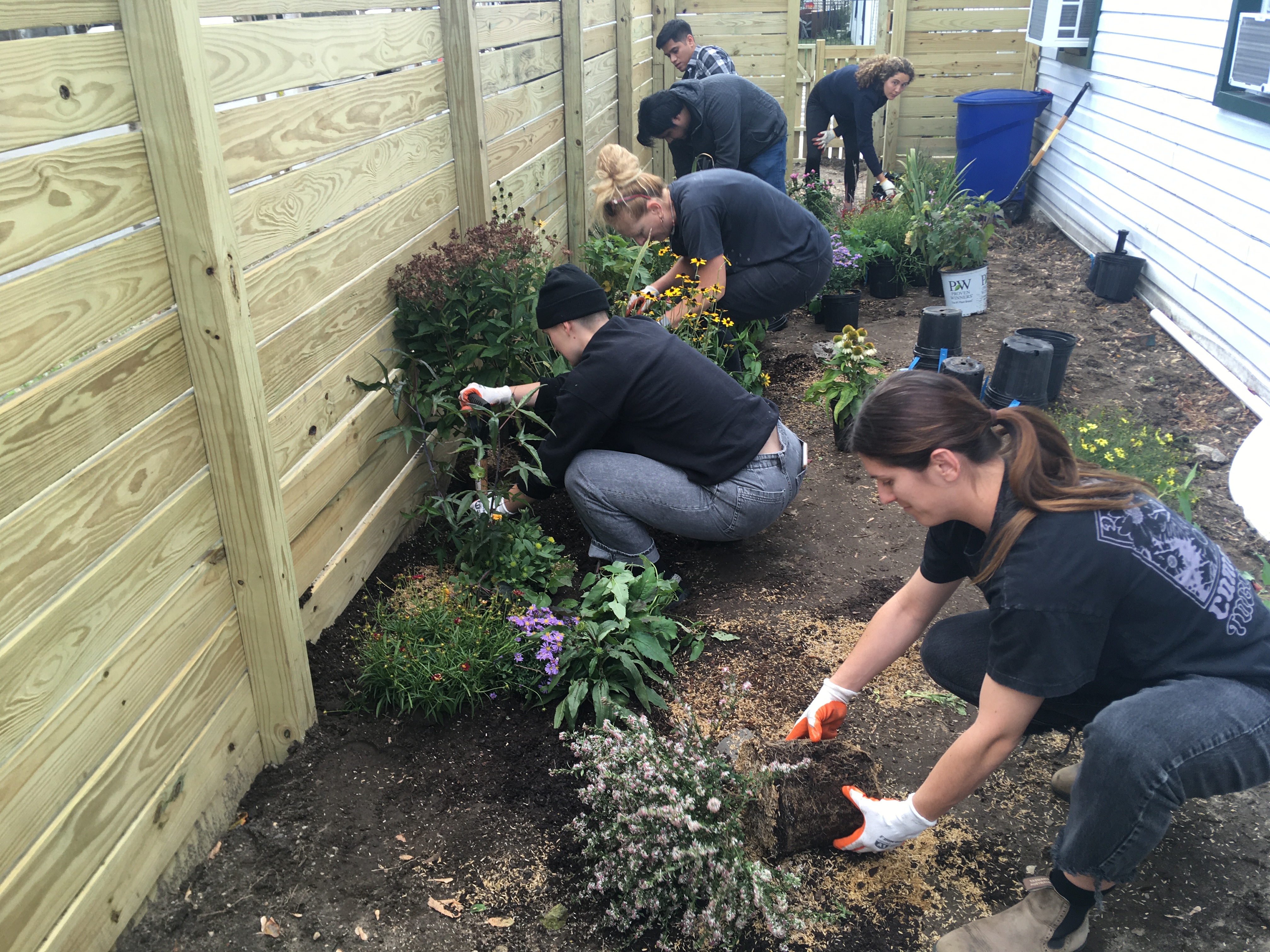 Volunteers install an ocean friendly garden